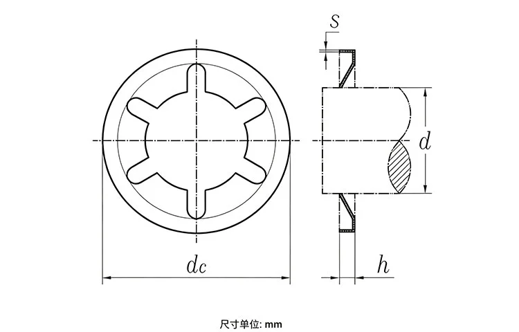 Star Lock Washers