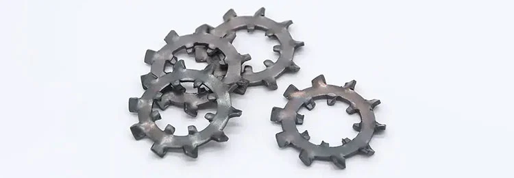 Screw Cup Washers