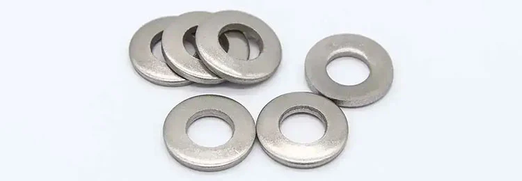 Screw Cup Washers